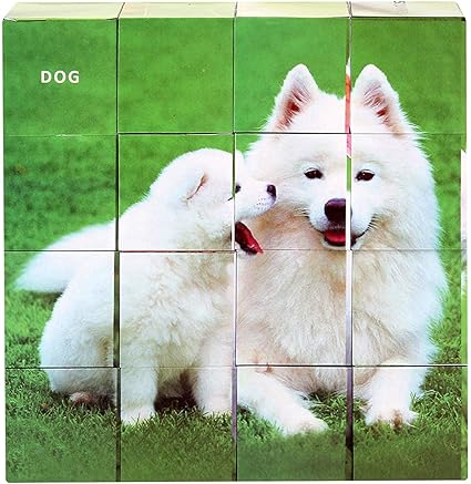 Momai Education Puzzle Cube-Transport Pet Animals