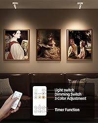 EZVALO Spot Lights Indoor,5500mAh Rechargeable