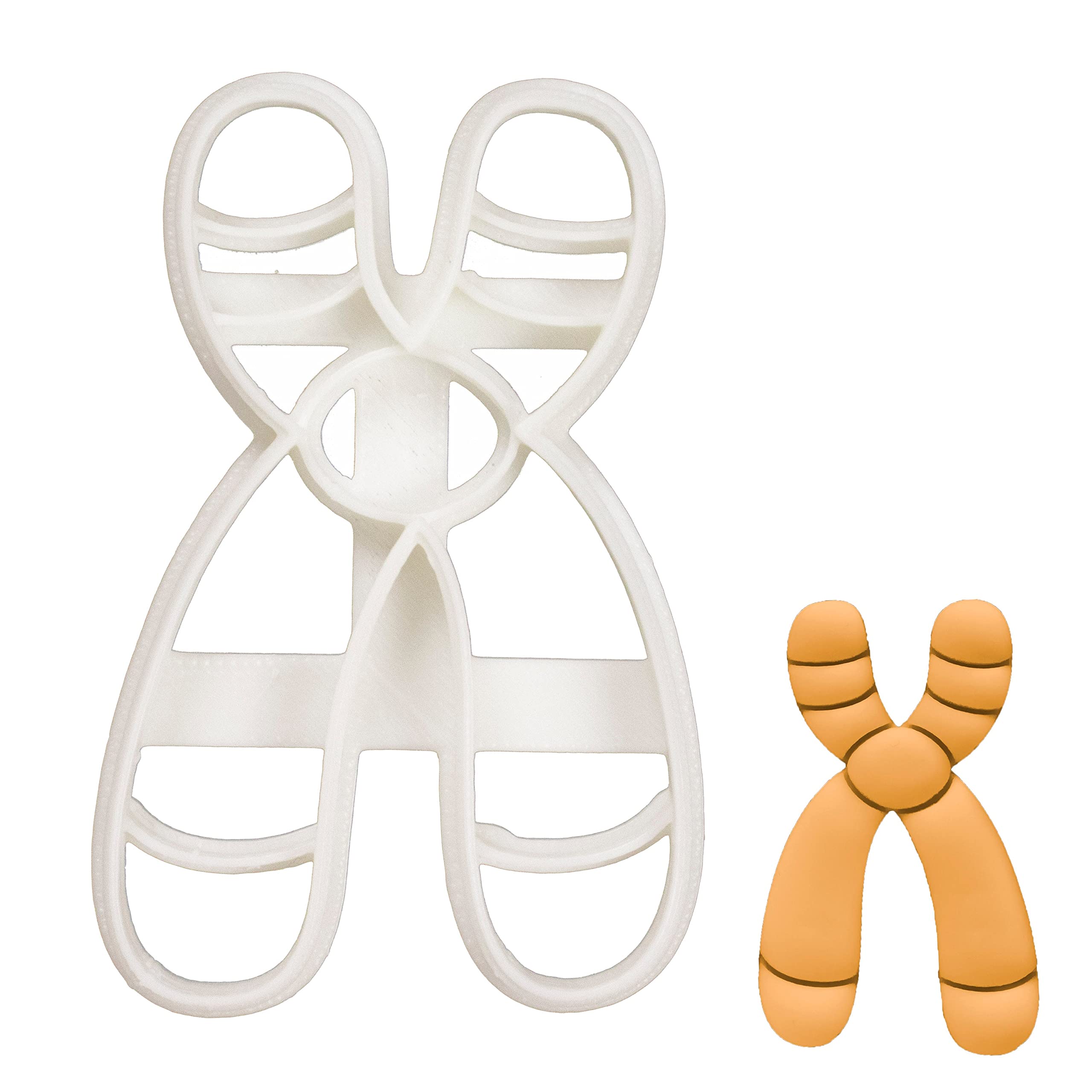 BAKERLOGY Chromosome Y Cookie Cutter - Detailed Biscuit Cutter Design for Baking and Crafts, Ideal on Fondant, Dough, Clay