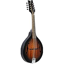 弦楽器 KOGA MANDOLIN SUPER DELUXE NO70 Bourgeois M5A Mandolin – Elderly Instruments