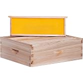 BeeCastle 10 Frame Medium Super Bee Hive Box, Langstroth Honey Bee Hive Include Beehive Frames and Waxed Foundations (Unassembled)