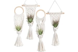 Melphoe 4 Pack Air Plants Holders Air Fern Macrame Plant Hanger Indoor Hanging Planter Basket for Tillandsias Display Air Plant Stand, Boho Home Decoration Gift Idea