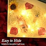 cshare Battery Fairy Lights 20 LEDs 2m Copper Wire IP65 Waterproof Warm White view 5