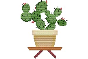 Bilrost Cross Stitch Kits for Beginners Cross Stitch Needlepoint Kits for Adults Stamped Cross Stitch Kits for Adults DIY 14CT Embroidery Patterns Stitches Kit-The Cactus 9.84x9.84 inch