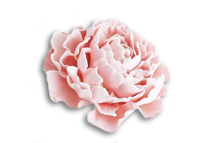 Grande Peonia Di Fiori Di Zucchero Fatti A Mano Colori