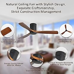 CACI Mall 52'' Ceiling Fan without Lights Remote