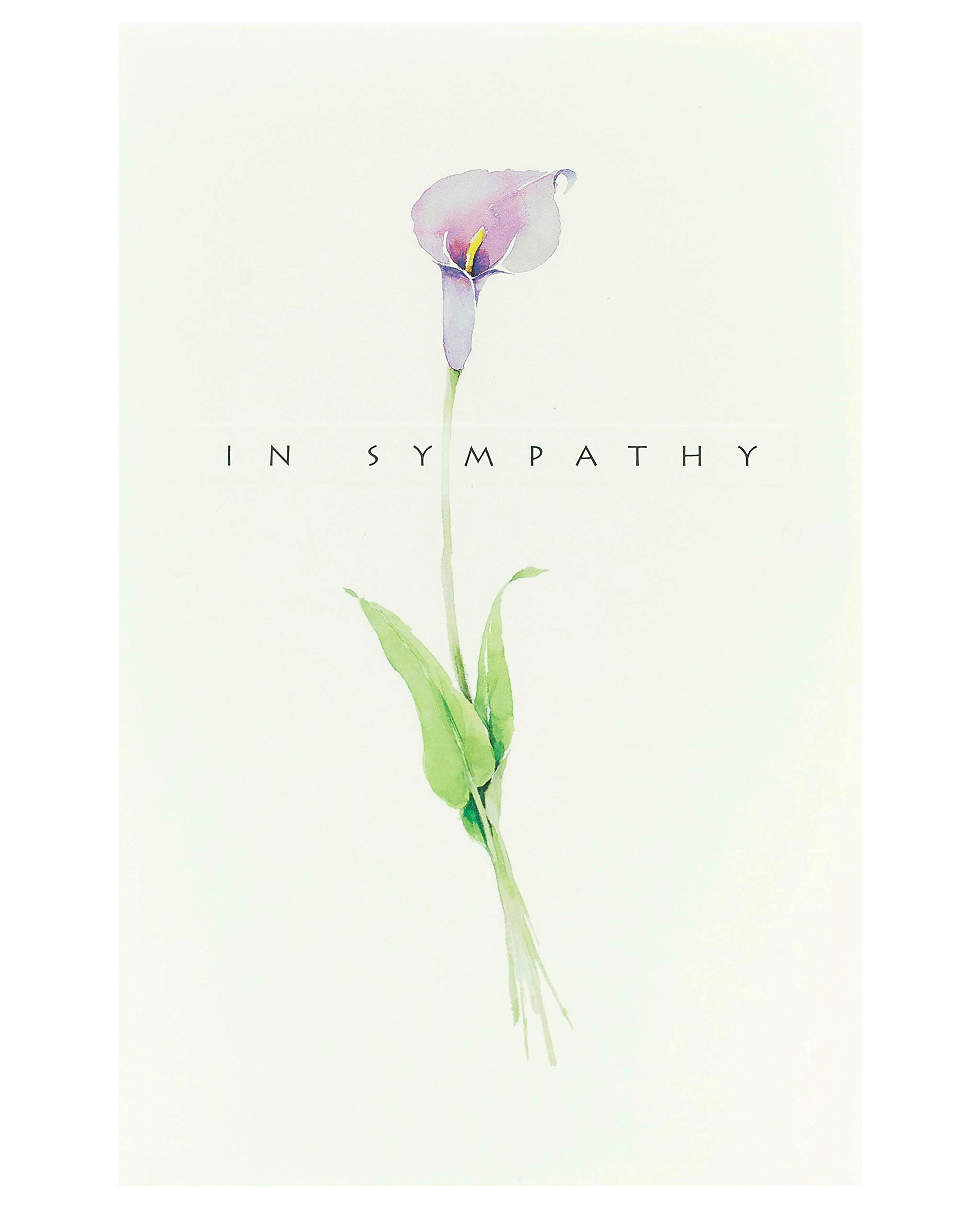 UK Greetings | Sympathy Card | Condolences/Bereavement | Her/Him | Delicate Design | With Envelope | 127 x 190 mm
