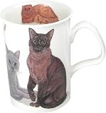 Mug Porcelaine Vintage Avec Motif Chats Roy Kirkham - 10,5 Cm De Hauteur - Occasion En Bon état