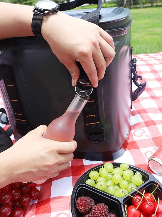 LIYANLCX - Nevera de 20 litros, Bolsa de Alimentos aislada con ...