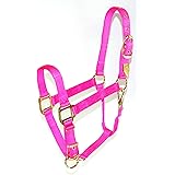 Hamilton 3/4 Inch Nylon Adjustable Horse Halter With Snap, Foal 100 To 200 Lbs, Dark - View #6