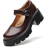 QHH Mary Jane Shoes Women Platform Mary Janes for Women Round Toe Chunky Heels Women's Pumps Fashion Classic Comfortable Dressy Business Casual Shoes Dress Shoes