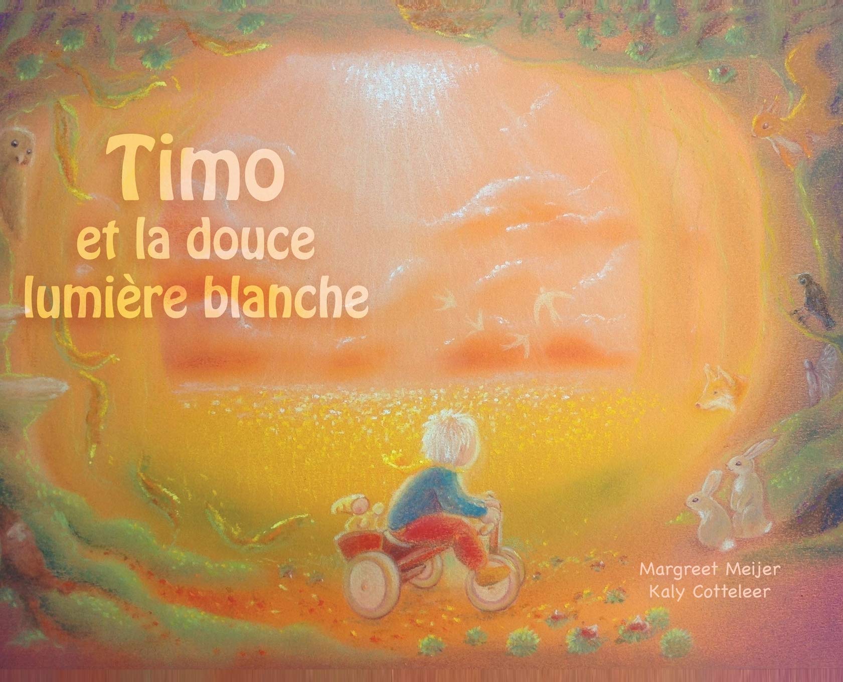 Timo Et La Douce Lumiere Blanche French Edition Meijer Margreet Cotteleer Kaly gak Arnatsiaq Daniel Amazon Com Books