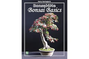 Bonsai4me: Bonsai Basics