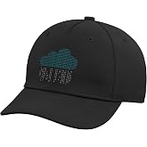 Software Engineer, Programming, Computer Developer, Programmer Adjustable Baseball Hat