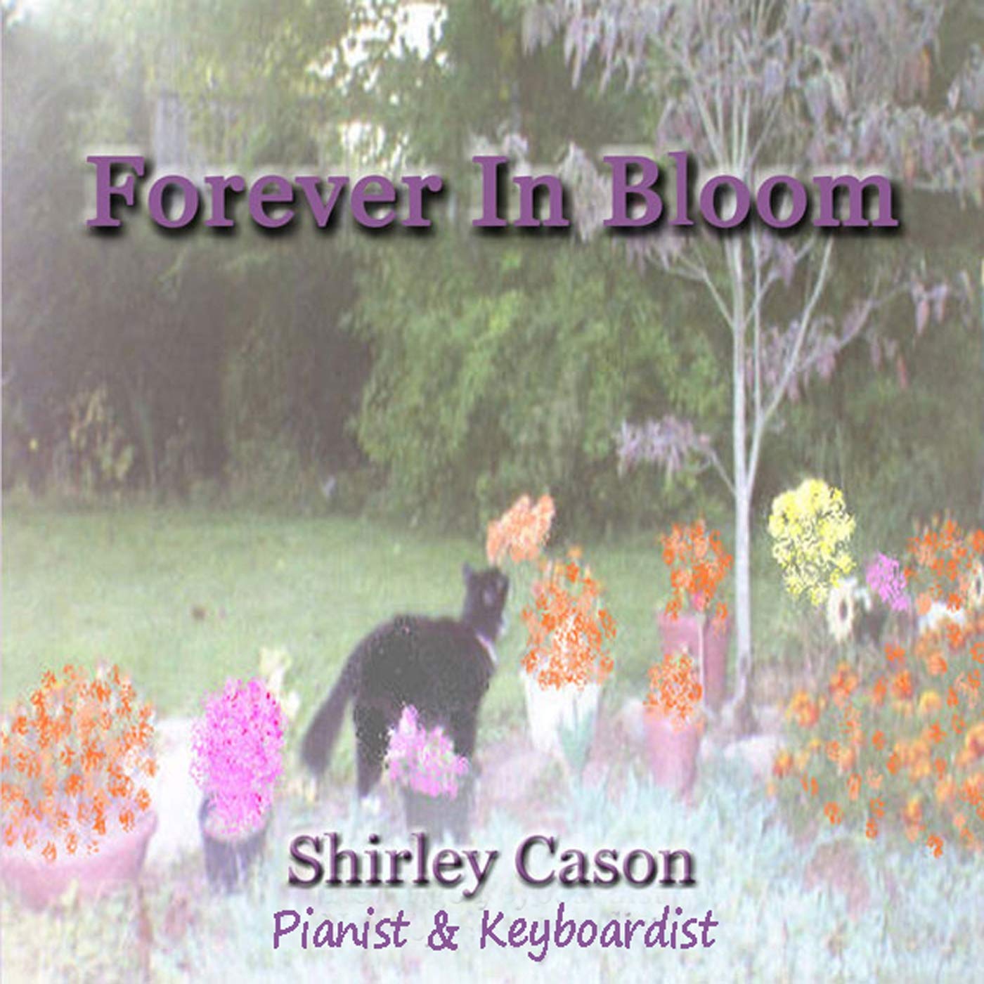 Shirley Cason Shirley Cason Forever In Bloom Relaxing Piano Instrumental Music Amazon Com Music Shirley Cason Shirley Cason Forever In Bloom Relaxing Piano Instrumental Music Amazon Com Music