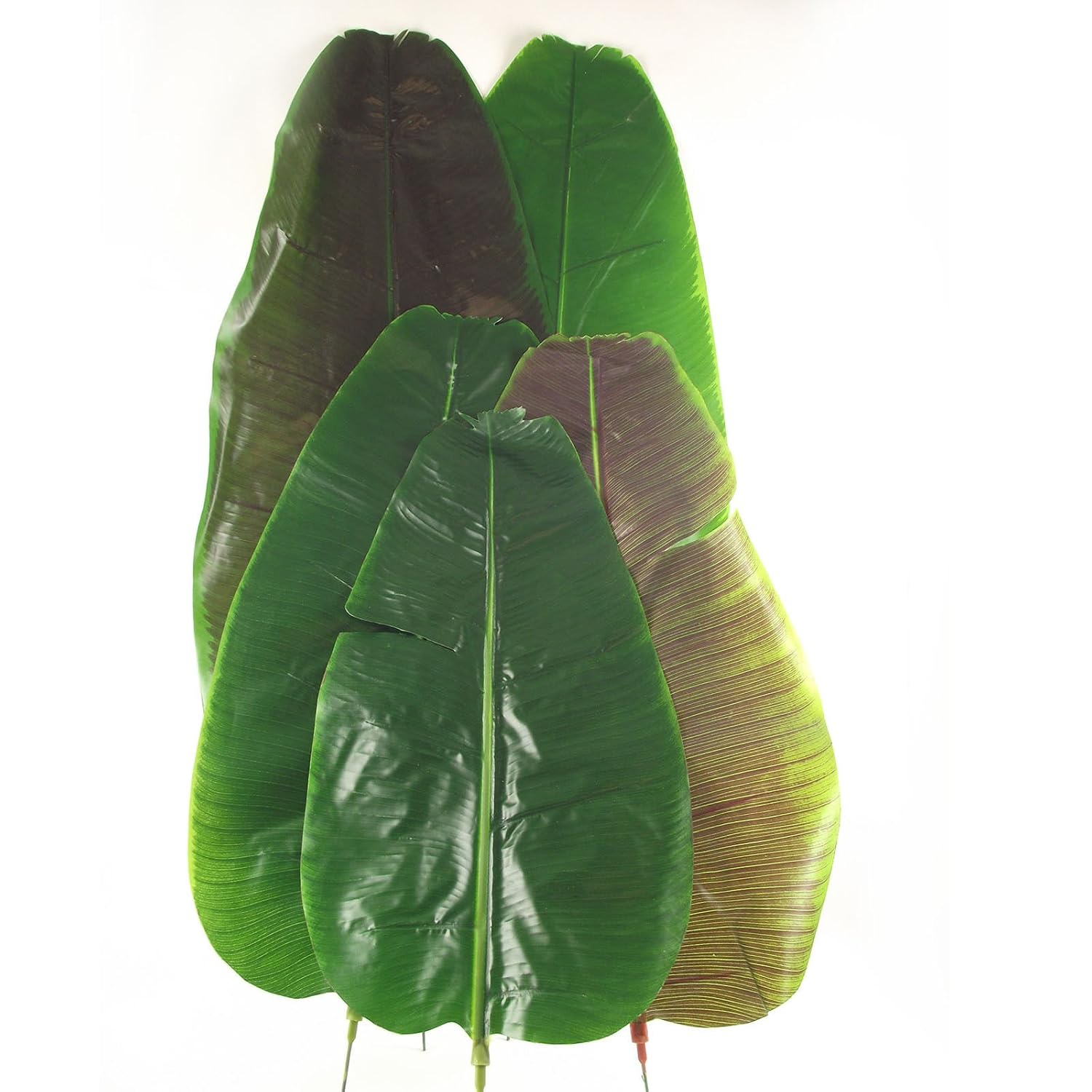 Meena Supplies Giant Extra Large Artificial Banana Palm Tree Leaves