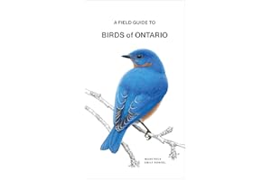 A Field Guide to Birds of Ontario