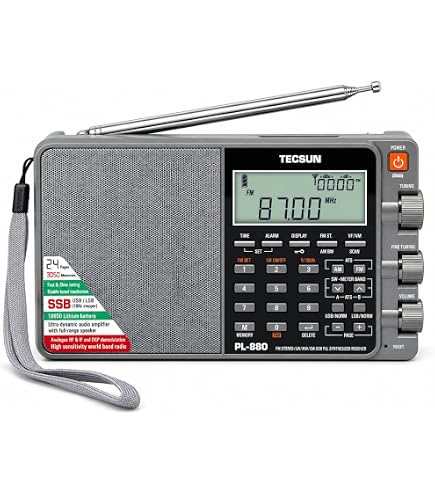 Amazon.com: TECSUN Hard Shell Carry Case for PL880 PL880x Radio
