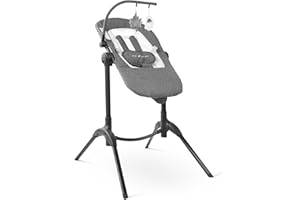 Baby Delight Bloom Baby Seat | Soothing and Adjustable Baby Chair | Portable and Compact | Charcoal Tweed