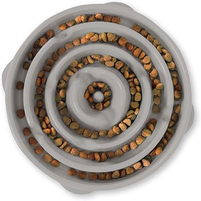Outward Hound Slow Feeder Dog Bowl Large Grey - Promotes Healthy Digestion