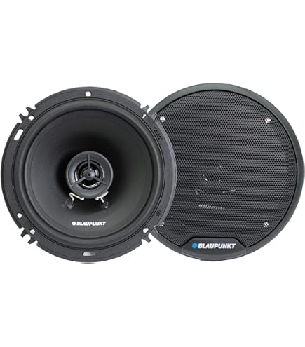 Amazon.com: BLAUPUNKT BPS-E653 6.5