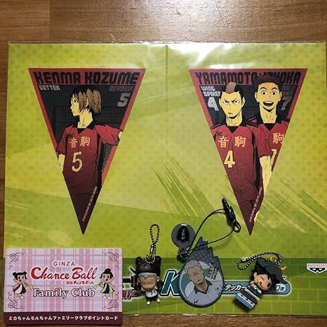 Amazon ハイキュー グッズまとめ フラッグステッカーセット 孤爪 山本 犬岡 フィギュアキーホルダー ストラップ 青根 キーホルダー 及川 パロディカード 孤爪研磨 フィギュア ドール 通販