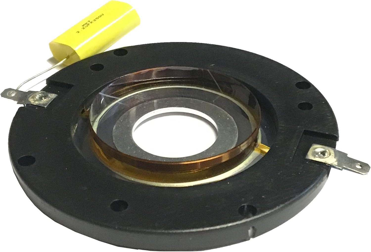 voice coil replacement