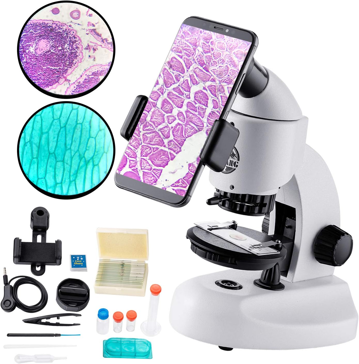 BEBANG Microscope for Kids and Student, Optics Glass Lens, DualLight