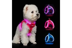 FEYCIG Light Up Dog Harness,Rechargeable LED Dog Harness for Small Medium Large Dogs,Reflective Lighted Safety Vest for Night Walking & Camping,Lightweight & Adjustable,Pink,XS