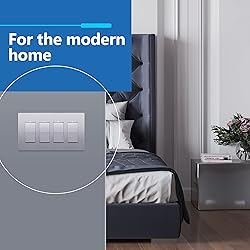 LIDER Matte Finish Decorator Switch