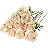 Nubry Artificial Silk Rose Flower Single Stem Lifelike Vintage Fake Rose for Wedding Bouquet Floral Arrangements Home Party Centerpiece Decoration, 10pcs (Vintage Champagne)