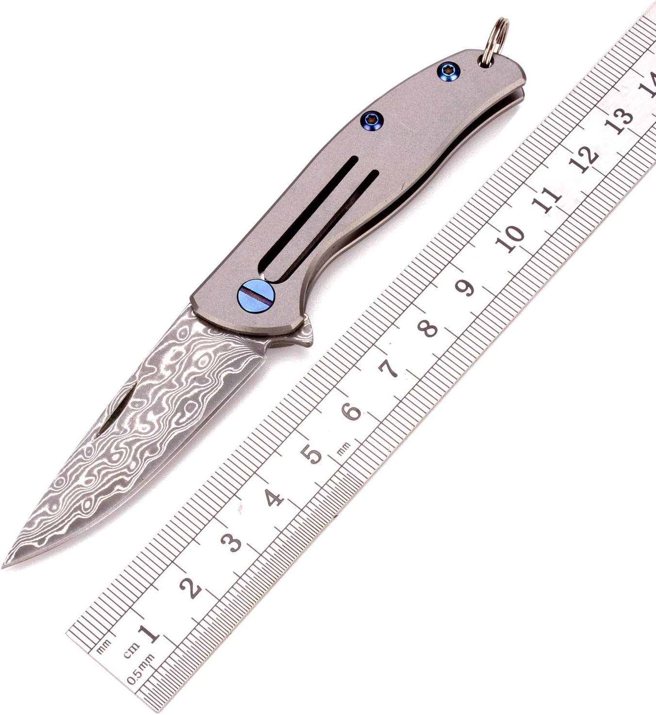 Catstar DT20 Small Flipper Folder Knife, 2 inches VG10 Damascus Blade, Flat TC4 Titanium Handle, Minimalist Compact EDC Folding Pocket Keychain Mini Knives 0.9oz