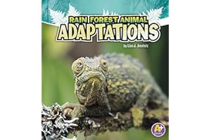 Rain Forest Animal Adaptations