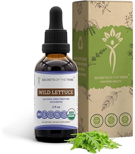 Amazon.com: California Poppy USDA Organic Tincture | Alcohol-FREE Extract,  High-Potency Herbal Drops | Made from 100% Certified Organic California  Poppy (Eschscholzia Californica) Dried Herb and Flower (2 oz) : Health &  Household