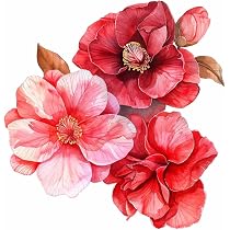 Amazon.com - Watercolor Red Camelia Flower Decals for Cars, Floral ...