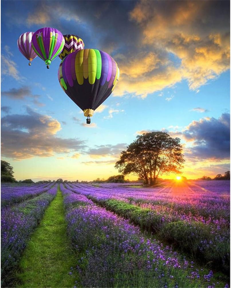 Acchen Paint by Numbers Kits DIY Oil Painting Hand Paintwork Hot Air Balloon 16x20 inch(Wooden Framed)