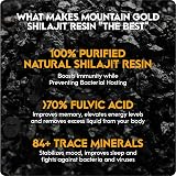 Mountain Gold Shilajit Natural Himalayan Shilajit 600mg 77% Fulvic Acid view 4