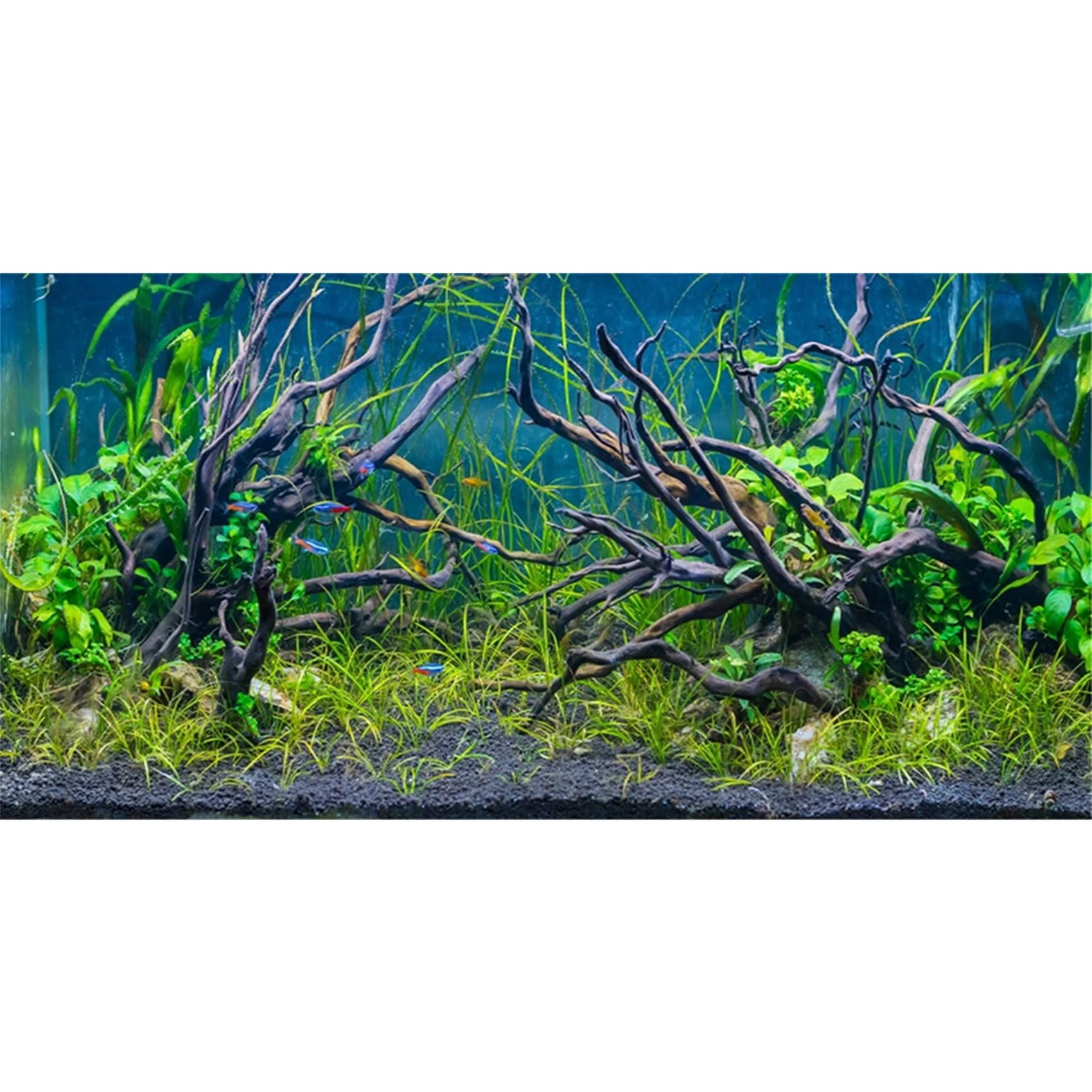 MIRRORANG 120x61cm Tropical Fish Tank Background River Bed & Lake Aquatic Plant Undersea Tree Branch Aquarium Background Vinyl