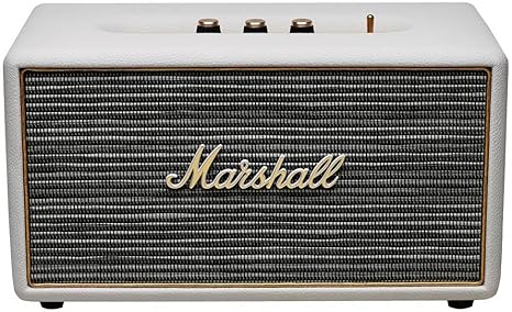 speaker that looks like an amp