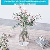 Vzmiza Clear Glass Vase Premium Quality Modern Rustic Home Decor view 4