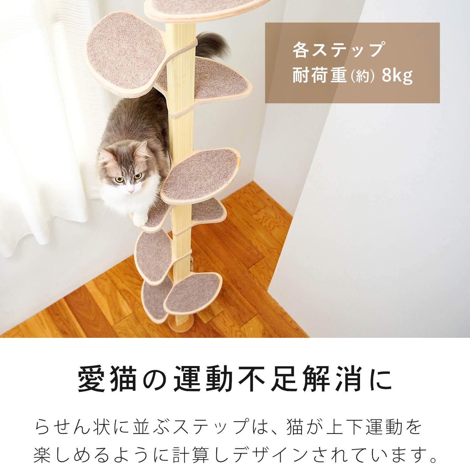 Amazon Oft キャットバンテージ プラス Ver 2 猫タワー キャットタワー 木製 突っ張り 省スペース キャットタワー 組み立て 設置 組立 木登り 爪とぎ 多頭飼い ねこ 猫 キャット ネコ タワー ポール インテリア サイズ 約 幅61 奥61 高232 252cm オーエフティー