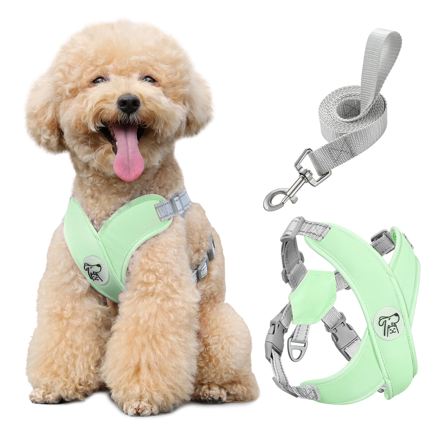 Pawaboo Puppy Harness and Lead Sets, Small Dog Harness X-Frame No Pull No Choke, Dog Vest Harness Adjustable for Small Medium Sized Dogs, Soft Breathable Pet Harness Walking Outing, M, Mint Green