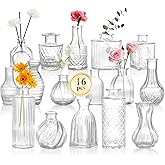 DomeStar 16PCS Glass Bud Vases Set, Small Clear Cylinder Vases for Plant Propagation Station Plant Terrarium, Vintage Clear Bud Vase in Bulk for Rustic Wedding Centerpieces Home Table Flower Decor