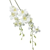 Angel Isabella Pack of 2-Real Touch Artificial 30" Dendrobium Orchid Tropical Keepsake Flower (Ivory)