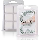 Spa Day - Relaxing Aroma Therapy Eucalyptus Scented Wax Melt - 1 Pack - 2 Ounces - 6 Cubes