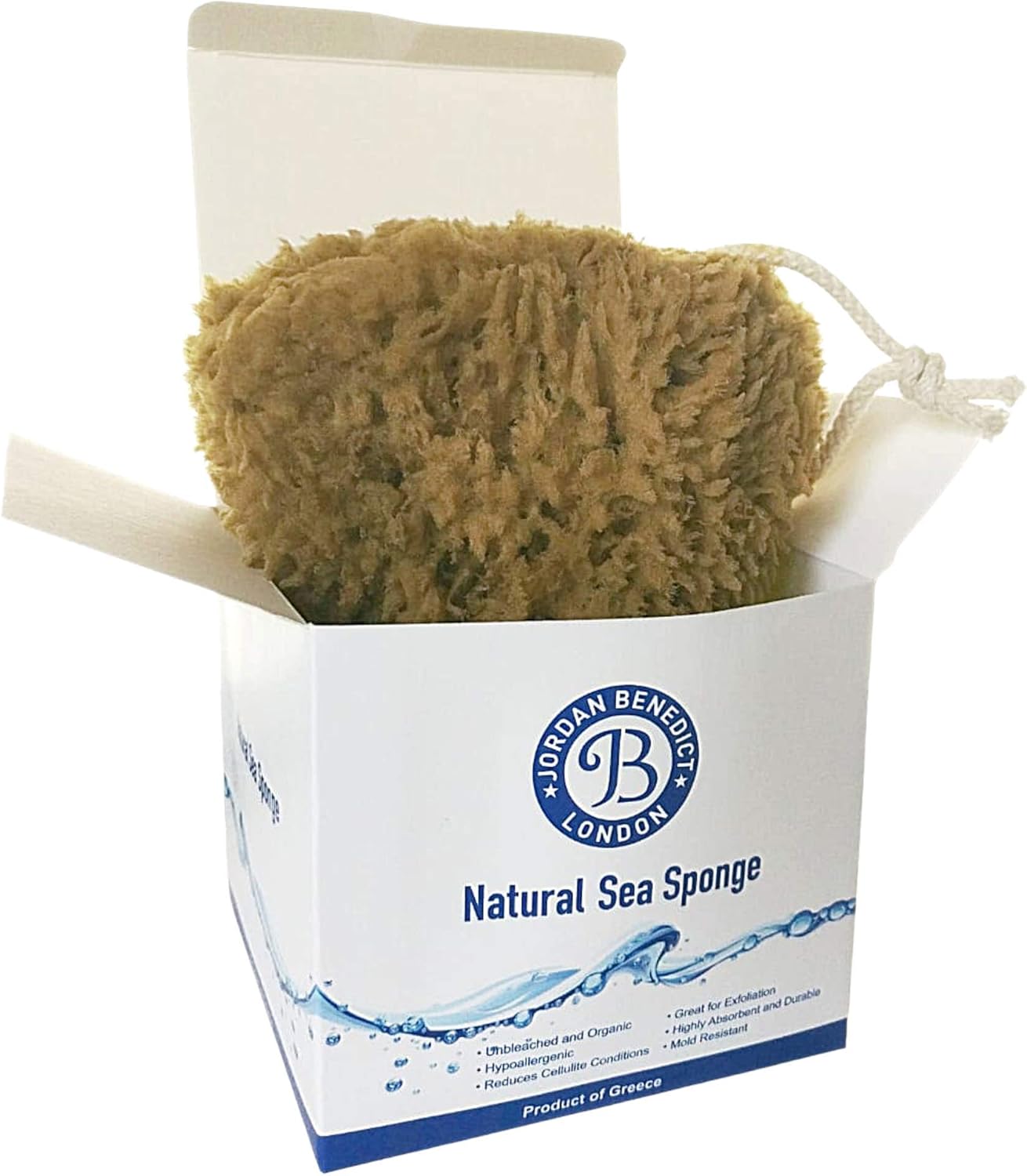 Jordan Benedict Natural Sea Sponge – Natural Exfoliating Shower Sponge ...