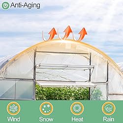 24 x 26 FT Clear Greenhouse Plastic Sheeting, 6 Mil