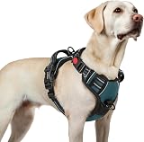 rabbitgoo Dog Harness Large No-Pull Reflective Adjustable Vest with 2 Leash