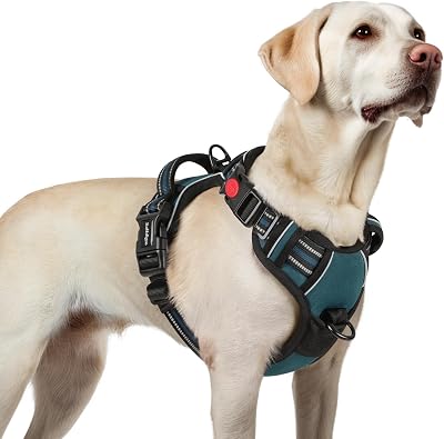 rabbitgoo Dog Harness Large No-Pull Reflective Adjustable Vest with 2 Leash