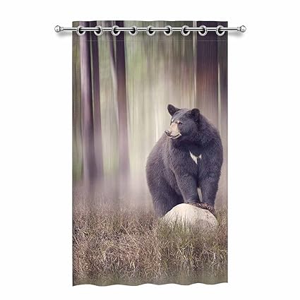 Amazon Com Interestprint Window Curtains Black Bear On A Rock In